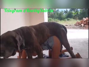 Sam and Alison unleash their lust on a canine in a full-blown hardcore session