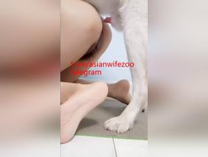 Zoo porno: bestialismo selvaggio e irresistibile