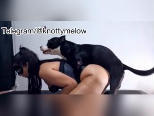 Bitch and babe: hot duo