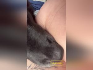 Bestiales Licking: Uberschreiten Sie die Grenzen des Verlangens