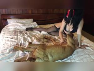 Chica vaquera del hotel: deseo animal crudo