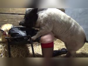 Yasmin: Unforgettable Bestial Unveilings