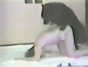 Uncontrollable zoophilia: Dominant dog, submissive woman