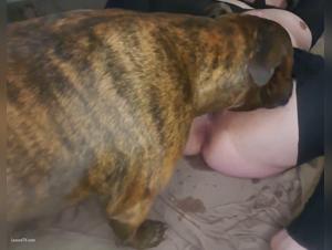 respiracion de animales, orgasmos incontrolables