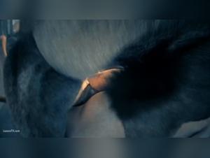 Sultry 3D Dive: Dog 'Sère' Gets Down and Dirty