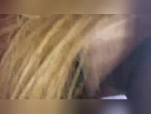 Spanish Equestrian Delights: Milly and her Unstoppable Desire