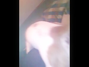 Schone nackte Frau und Hund in einem Bestialitatsvideo