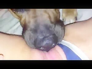 Dog and woman: a beastly encounter