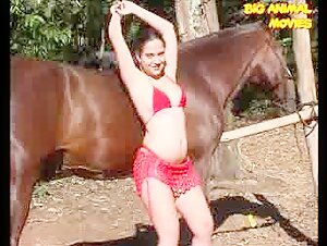 Horse vintage video #5