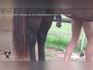 Hunting impulses: Ariel and her dog in a bestial encounter