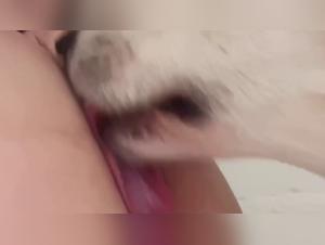 Chat de sexo anime Evva, Artzoo TikTok Zoo