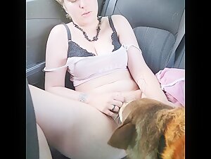 Pleasure prohibited in the car 1.2