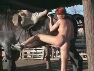 Débauche Cheval-Humain : La Redhead S'abandonne