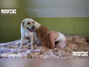 A Dog, Yasmin, and Unending Humiliation