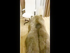 Femme et Cheval: Une Rencontre Interdite