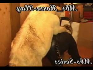 Desiderio selvaggio: raccolta di sesso estremo con cavalli - LustMonster