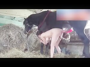 Na Pica do Cavalo: Eine bestialische und aufregende Erfahrung