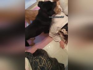 My dog loves my blowjob