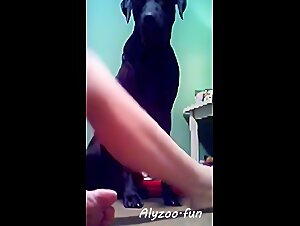 Artofzootography Pornfay: Veronica Silesto en videos de sexo con animales Zoophilie Extreme,