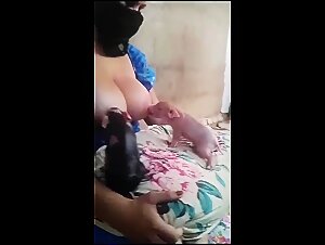 Le sexe entre humains et animaux: est-ce une activité safe ?