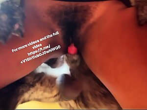 Vixen Artofzoo nello zoo porno - Compilation di bestialita estrema