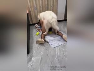 Recorded zoophilia: The descent into hell of a woman abused by her dog