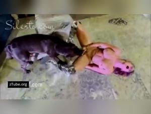 L'arte del dominio canino: esplora il lato selvaggio