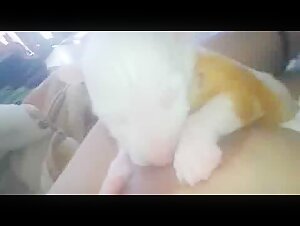 Woman breastfeeding a puppy 3