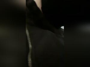 jouissance brute : amateur vocale et chien