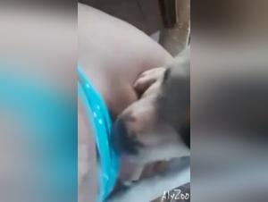 délire canin: orgies fécales et sexe animal