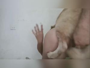 Obscène Désir : Dog Sex Intensifies