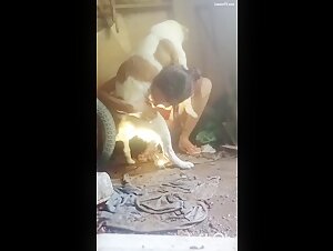Cane di strada viziato