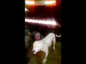 Cattivo cameraman :( - Un video di bestialita scioccante