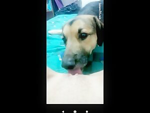 Teenage Girl and Dog Play