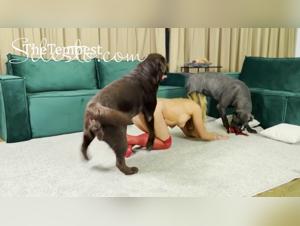 Bestiale Freude mit Veronica