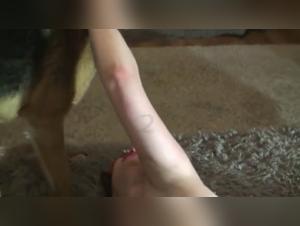 Forbidden Delights: XXX Video of Dog and Woman