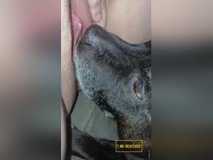 Foul Delights: Hardcore Doggy Licking