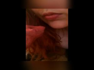 Verbotene Freuden: Live-Tiersex-Webcams
