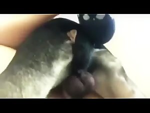 Bestial: Puta y su Perro