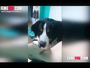 Adorabile adolescente e il suo cane in un video bestiale