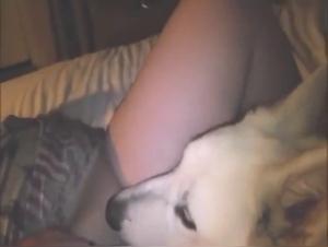 Obscures Délices: Fétichisme Animal et Désir Insatiable