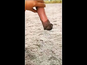 Bestialidad pornografica amateur