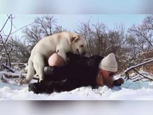 Inferno animale: piaceri sessuali proibiti