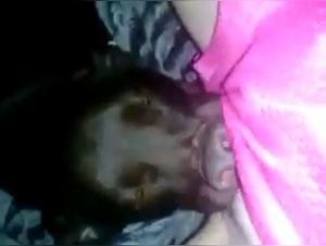 Delizie proibite: zoofilia hardcore in video