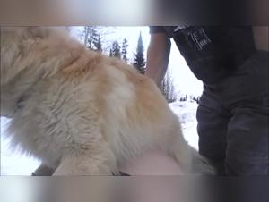 Débauche Fétide: Épouse, Chien et Neige