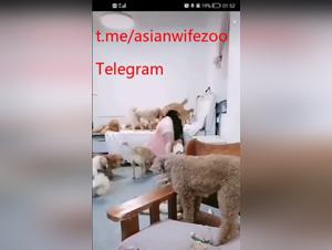 fétiche zoophilique asiatique : domination canine