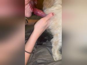 Brutal Desire: Hardcore Dog and Woman Videos
