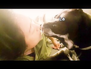 Woman and dog: a forbidden meeting