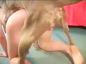 Mujer sometida al extasis con su fiel companero canino