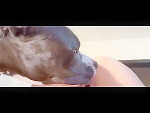 Zoo Dog: A Story of Exciting Bestiality
